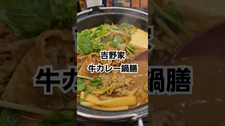 吉野家新メニュー【牛カレー鍋膳】がめっちゃ旨かった件。