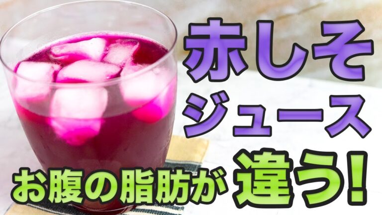 【食材２つで作る】赤しそジュース！かんたんレモン入り【農薬不使用】