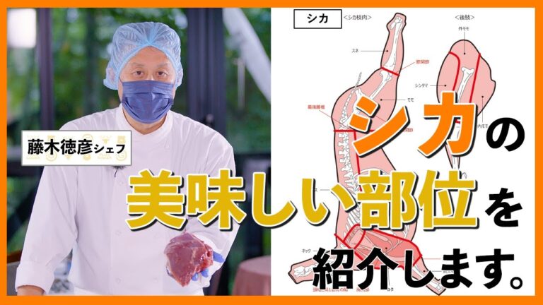 シカの美味しい部位を紹介します。