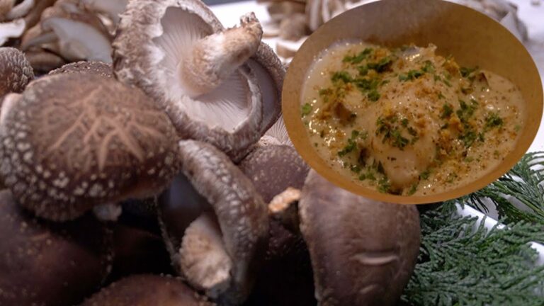 【スープ】しいたけの本格ポタージュShiitake mushroom potage soup