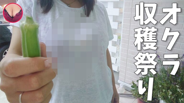 【家庭菜園】収穫したほやほやのオクラを使って超ネバネバ冷奴を作ってみた♪さっぱりヘルシー梅ポン酢が最高!!