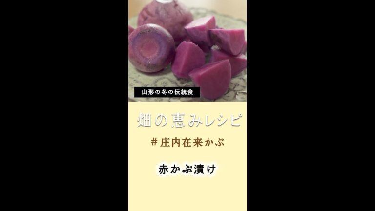 【庄内の冬の伝統食】赤かぶ漬けレシピ　#short