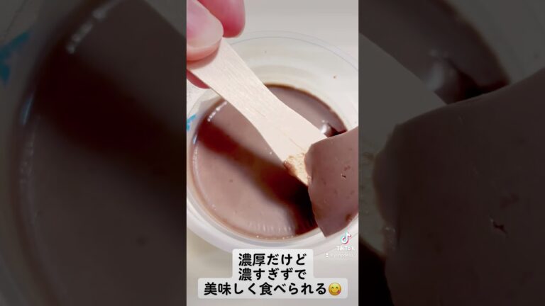 『ベルギーチョコプリン』なめらかプルプル食感で美味しかった！