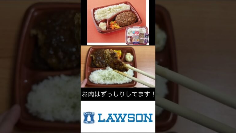 【肉厚】ローソン これがハンバーグ弁当