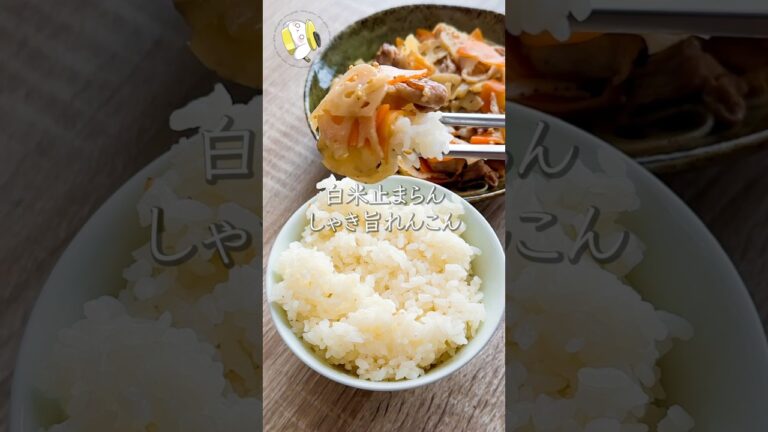 【ワンパン10分◎】しゃき旨！蓮根きんぴら #料理動画 #cooking  #shorts #簡単レシピ #時短レシピ #節約レシピ