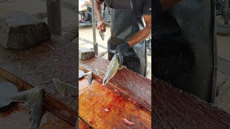 Boneless Trevally Fish Cubes | Fastest Trevally Fish Boneless Filleting Skills