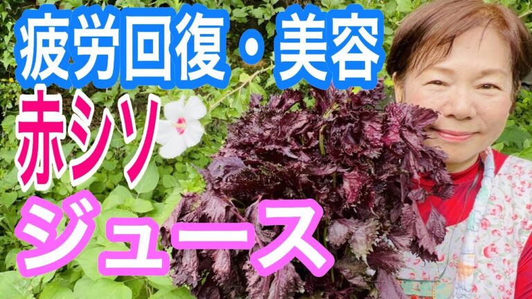 健康と美容に良い！赤しそジュース　#健康