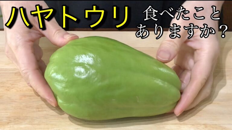 ハヤトウリ食べてみて！美味しいレア野菜、ハヤトウリの下処理方法と簡単なお惣菜2品の作り方