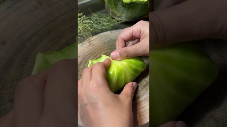 【冷凍餃子に飽きたらコレ！】餃子でロールキャベツの作り方 #shorts