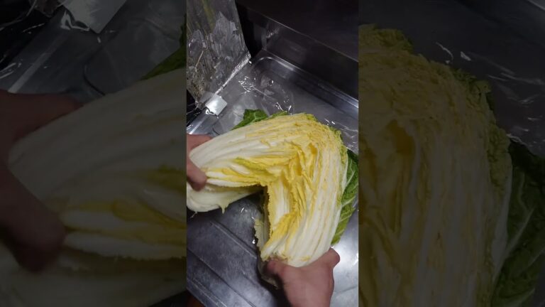 【料理】めっちゃ簡単コスパよし！とろとろ白菜ペペロン。#料理男子 #shorts_ #shorts