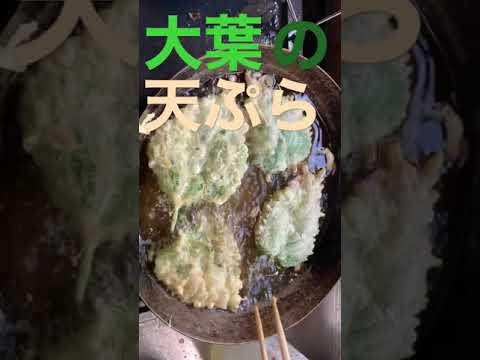 【実録】大葉の天ぷらサウンド【揚げすぎ】