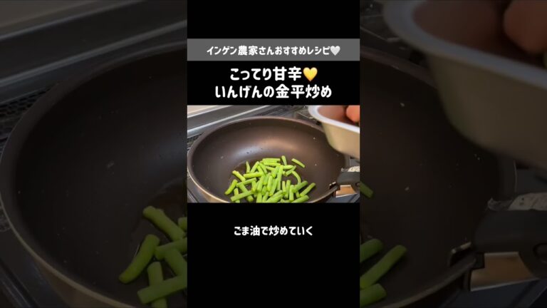 農家さんおすすめ🤍インゲンの金平炒め【作り置きにも】
