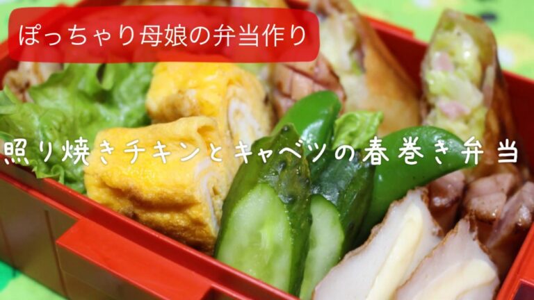 ぽっちゃり母娘の弁当作り#41「照り焼きチキンとキャベツの春巻き」弁当