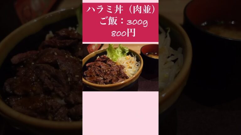 【高松グルメ】ボリューム満点の焼肉丼！炎伝〜パート①〜#shorts
