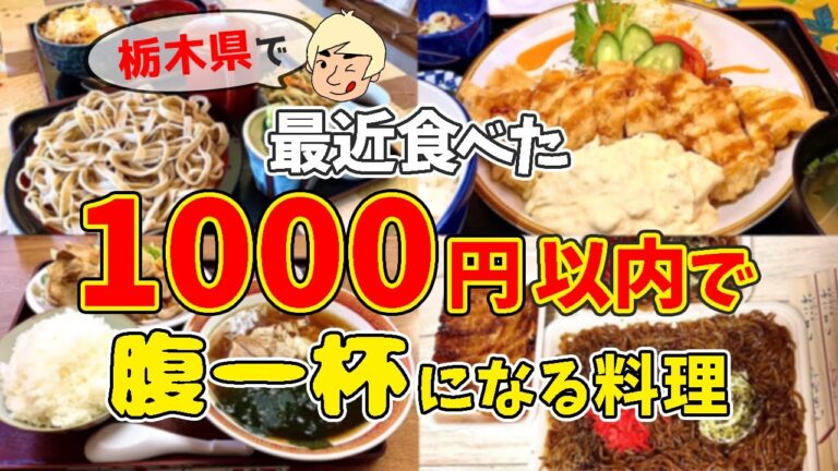 【コスパ抜群】最近食べた1000円以内で腹一杯になる料理【栃木県小山市/鹿沼市/下野市/栃木市/大田原市/那須烏山市/塩谷町】