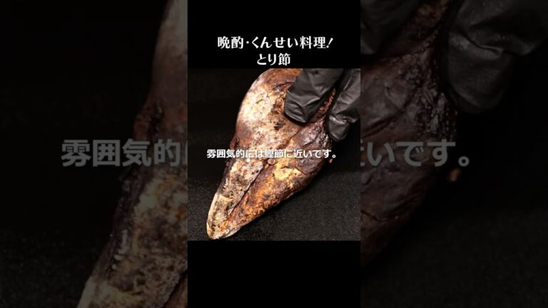 とり節 #shorts #鶏肉