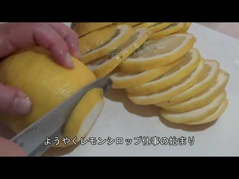 【手間を楽しむ暮らし】#2 りんごのホットサンドとレモンシロップ作り