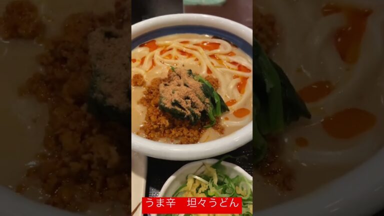 うま辛　坦々うどん