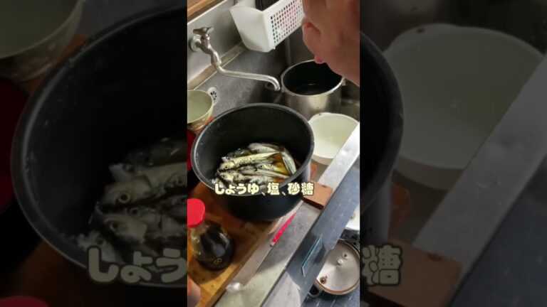 圧力で作った頭まで食べれるサバの煮付け #サバ #煮付け #釣り #圧力釜 #shorts