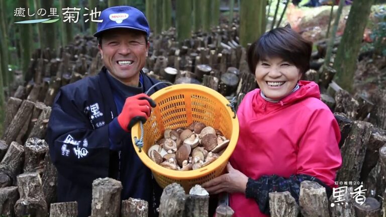 2015幻の椎茸204「黒香」産地見学ツアー＠熊本県菊池市