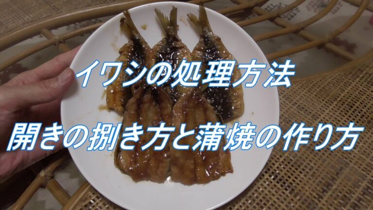 イワシの処理方法(3) - 蒲焼の捌き方と作り方 -