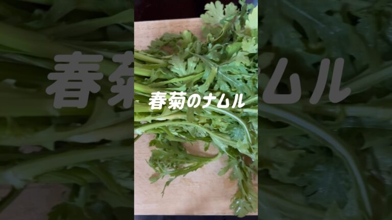 【副菜】春菊のナムル作ってみた! 春菊レシピ 初のショート動画です#春菊