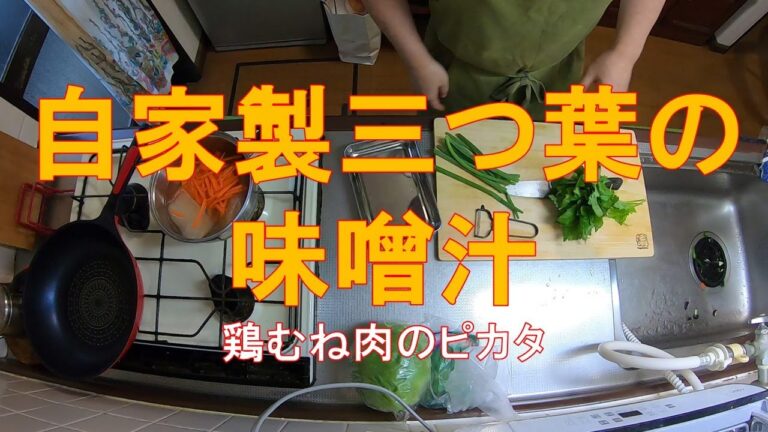 #747【キッチン俯瞰10倍速】夕食作り「自家製三つ葉の味噌汁」