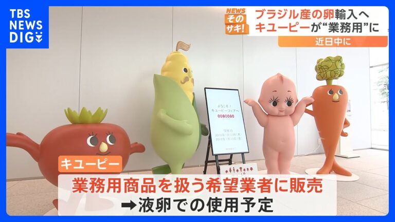 「液卵は食の半導体」不足でキユーピーが「ブラジル産」卵を輸入へ　供給戻らず食品メーカーは苦戦｜TBS NEWS DIG