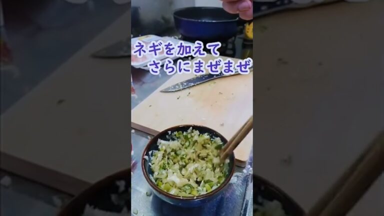 テブの作る昼飯【豚ネギ塩丼】