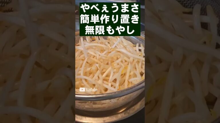 簡単一番うまい！もやしのピリ辛ナムル 作り置き 副菜 おつまみ 常備菜 節約レシピ