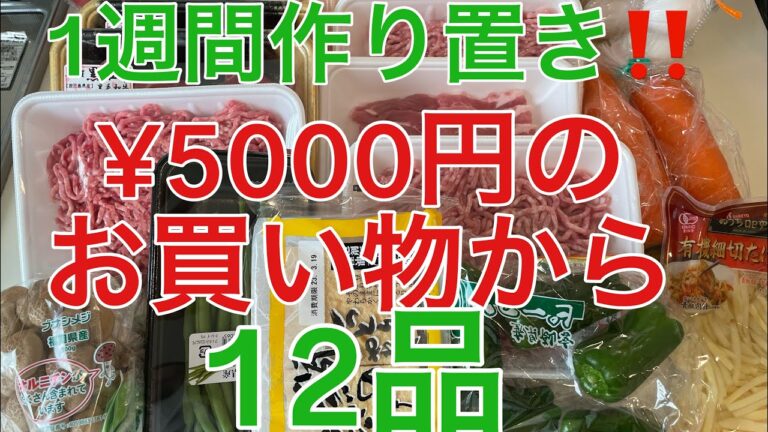 【1週間作り置き‼️】専業主婦の私が❗️エコ　捨てない　時短で作る❗️日本の家庭料理❗️ワンパン料理