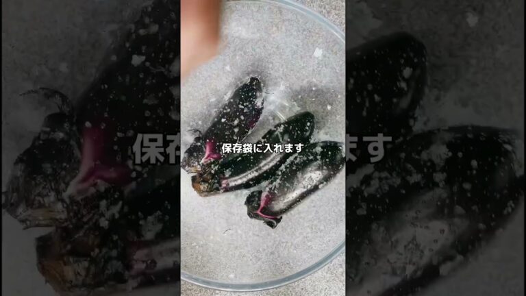 おばあちゃまの味❣️茄子の浅漬け❤️色鮮やかにできるよ〜💕 #お料理動画 #簡単レシピ #なすレシピ #japanesefood