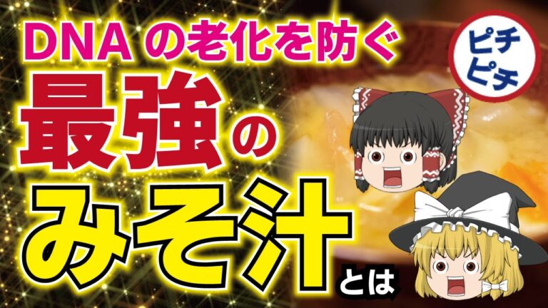 【ゆっくり解説】味噌汁で老化防止に若返り！40代50代が使うべき味噌とその効果とは【うわさのゆっくり解説】