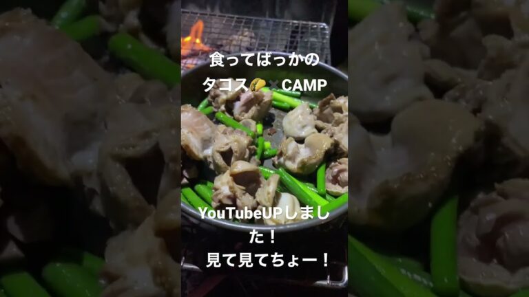 生地からタコス作ってみた！？#キャンプ #タコス#食べすぎ #ぼーぼchannel