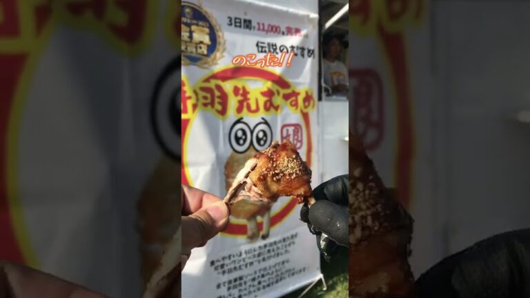 手羽先唐揚げで手羽先相撲を取ってみた結果【キッチンカー/手羽先むすめ/名古屋めし/フードフェス/対決】 #shorts
