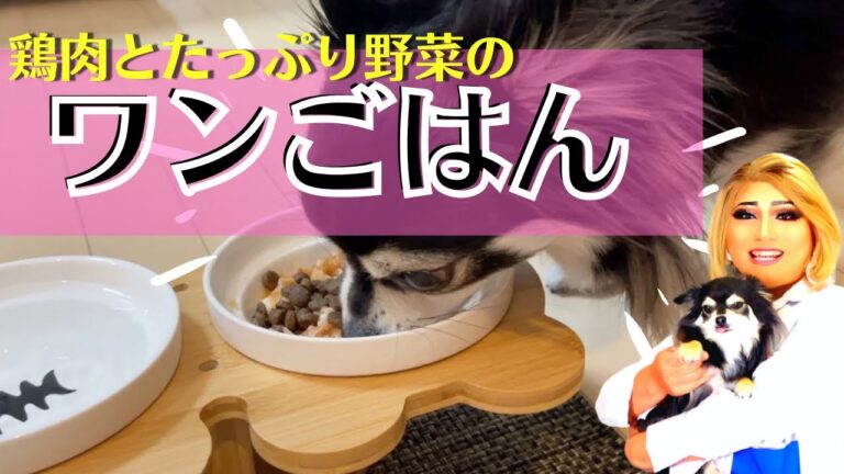 【野菜と鶏肉】愛犬のための満腹ヘルシーゴハン【栄養たっぷり】