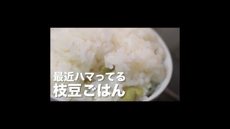 わさび醤油で食べるハンバーグが美味しすぎました。