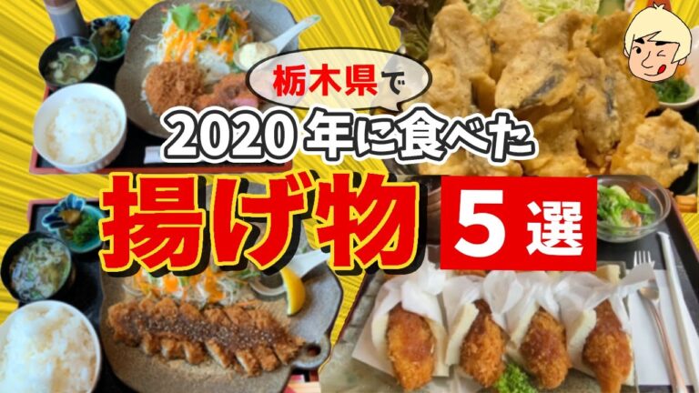【アジフライ・エビフライ🍤】2020年に食べた揚げ物5選【栃木県宇都宮市/日光市/栃木市/益子町】