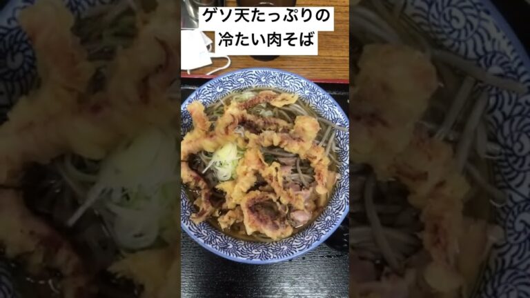 ゲソ天たっぷりの冷たい肉そば　仙台【やま久】