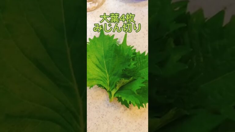 和風トマトマリネ🍅夏と言えばトマト🍅#トマトレシピ#大葉#料理