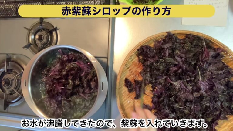 赤しそジュース作り