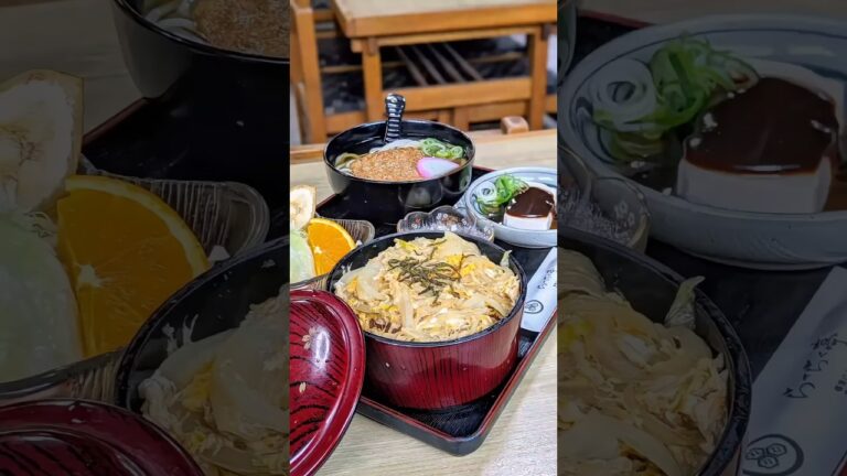 【岐阜】フルサイズ×フルサイズ！老舗うどん屋のカツ丼セットが凄かった！#グルメ #shorts
