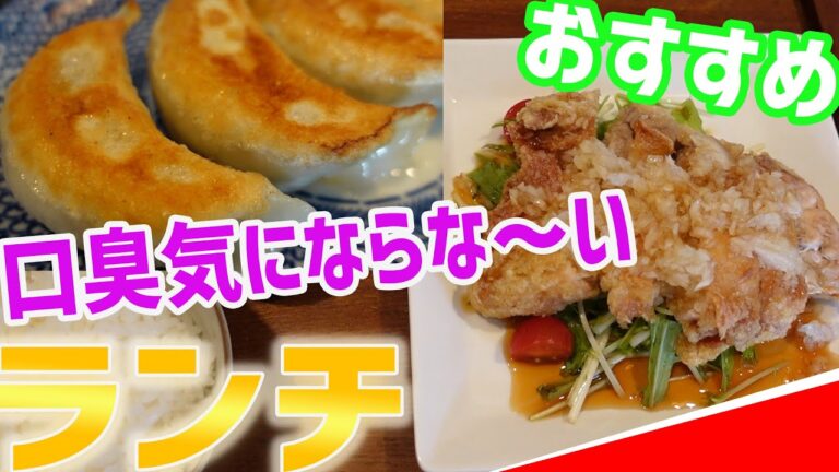 ランチで食べても大丈夫！？低臭ニンニク使用/餃子の花家【北海道札幌グルメ】