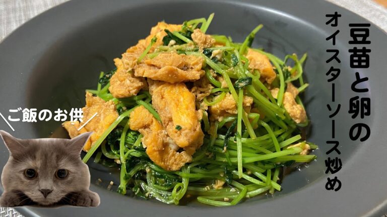豆苗と卵のオイスターソース炒めwith cat