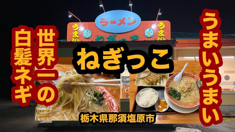 【栃木グルメ】ラーメンねぎっこ（那須塩原市）ネギ塩ラーメン＆にんにく餃子半ライスセットを食べてみた