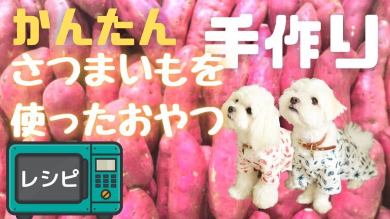 【簡単】材料２つで作るさつまいもボーロの手作り犬おやつレシピ