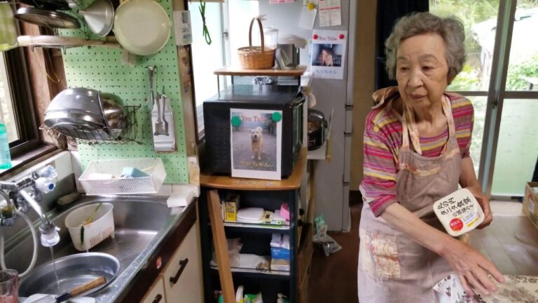 2019.05.30 ばぁちゃんの孫への料理教室 ばぁちゃん流 漬け込み牛丼とお麩の味噌汁と鰹生節の簡単なサラダ風 Part③ 4K 高画質