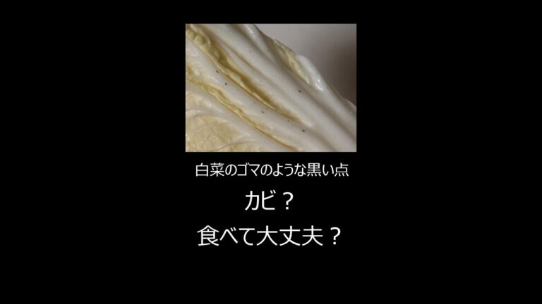 白菜のゴマのような黒い点　カビ？食べても大丈夫？ #shorts