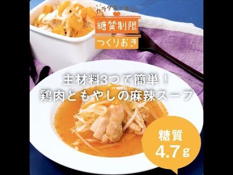 主材料3つで簡単！鶏肉ともやしの麻辣スープ