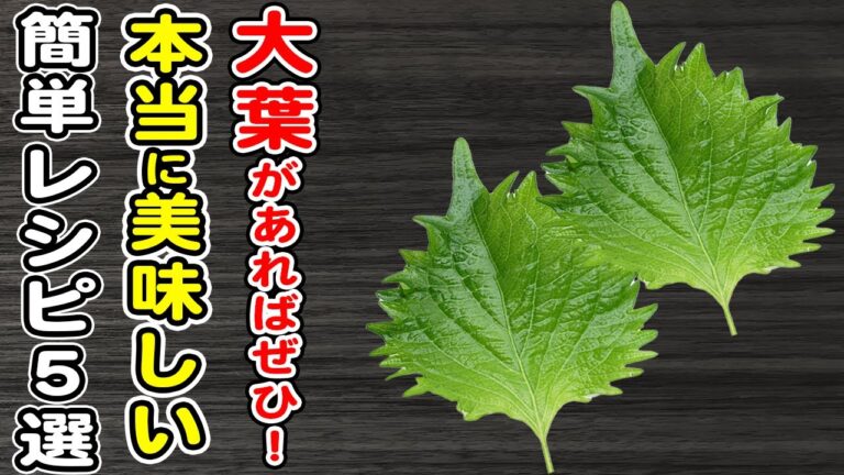 大葉買ったら絶対作って欲しい！大葉（しそ）で作れる簡単レシピ5選！箸が止まらない絶品おかずの作り方/作り置きおかず/ご飯に合うおかず